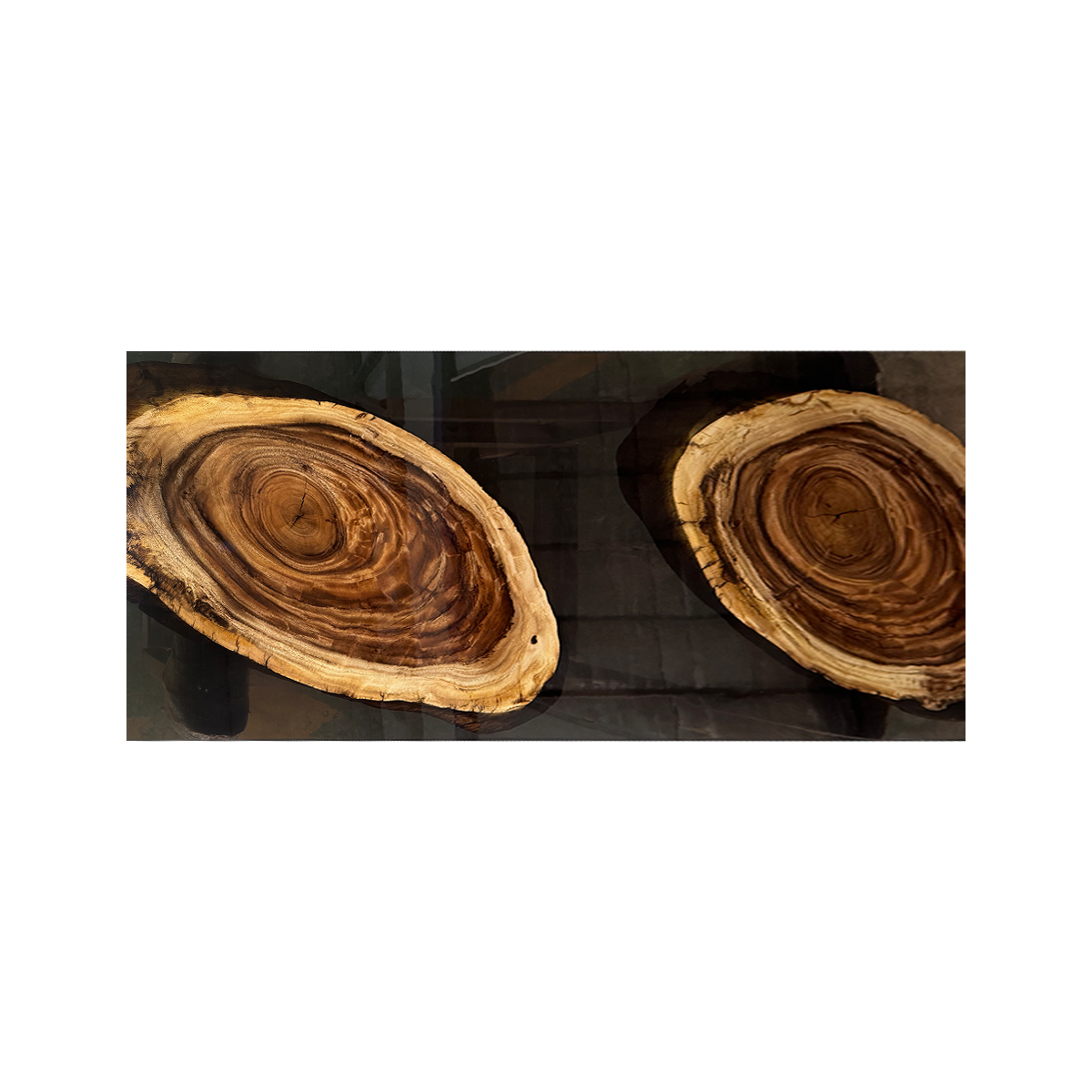 Black Walnut Wood Double Tree Ring Epoxy Resin Conference Table