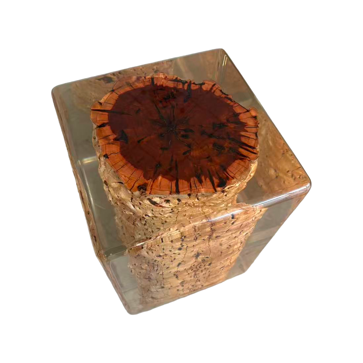 Epoxy Resin Encased Burl Wood Cube Stool