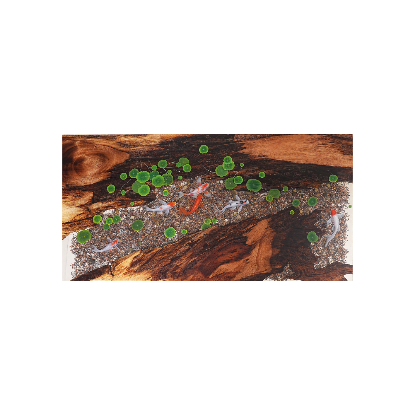 Cunninghamia Wood Koi Fish Rectangular Resin Table