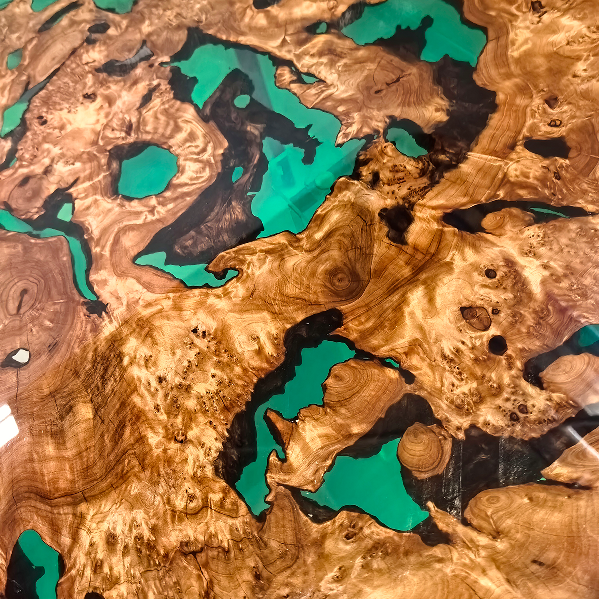 Burl Wood Teal Epoxy Resin Coffee Table