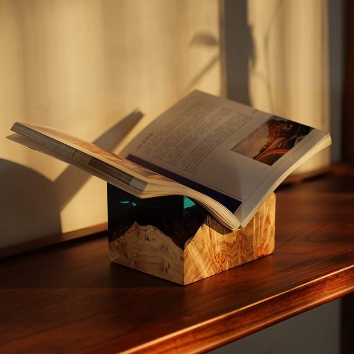 Birch Burl Resin Bookend