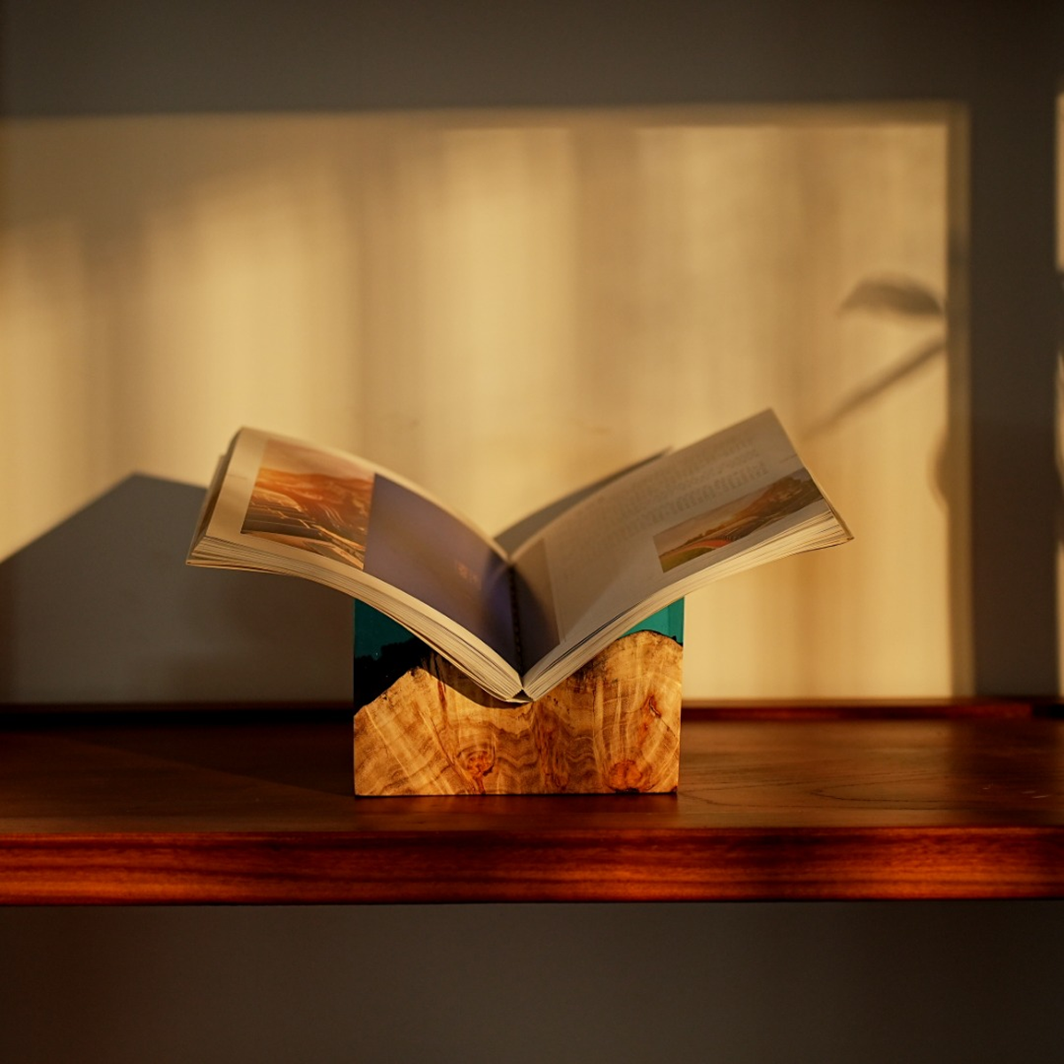 Birch Burl Resin Bookend
