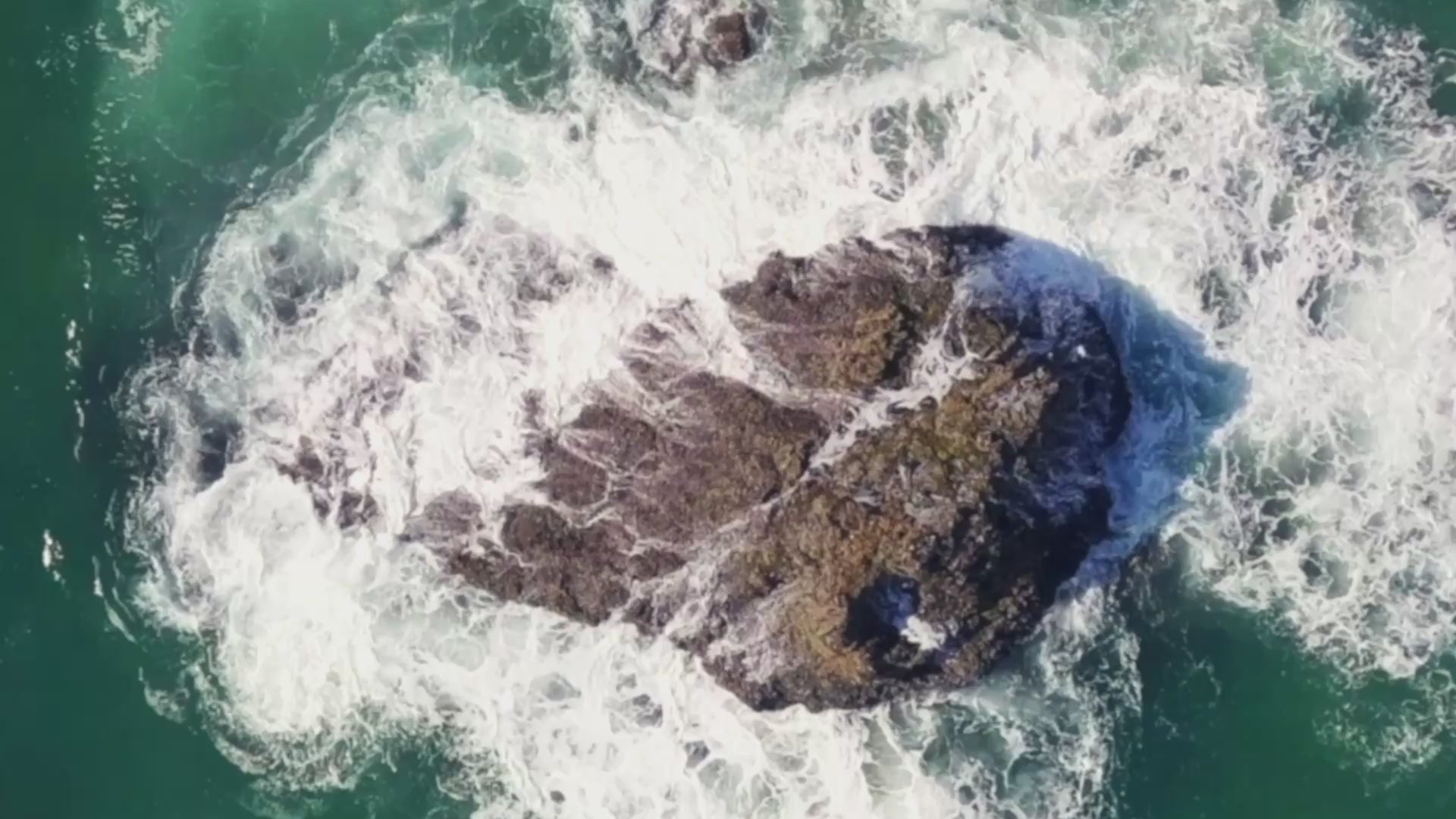 Load video: Video banner